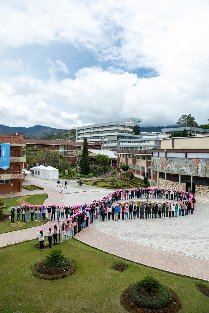 ¡Educación para todos! La lucha por la igualdad en la escuela.