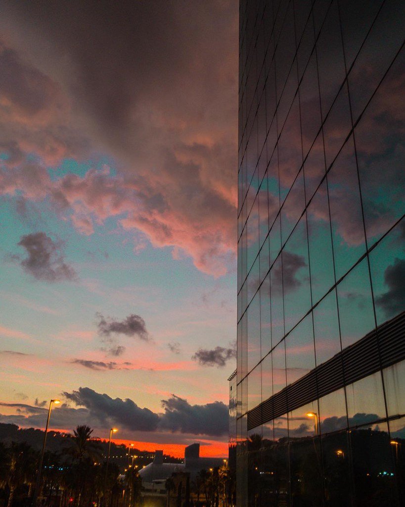 ¡Protección Infalible! Seguro de Vida ante Incapacidad